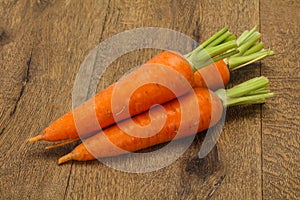 Three Young fresh ripe carrot