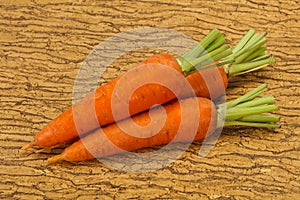 Three Young fresh ripe carrot