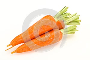 Three Young fresh ripe carrot