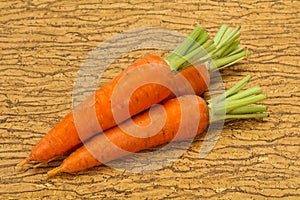 Three Young fresh ripe carrot