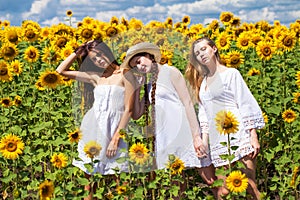 Three young women in white dress posing against the blue sky in sunflowers field