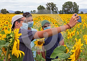 Three young teenagers taking a picture of themselves amidst yellow sunflowers in the countryside