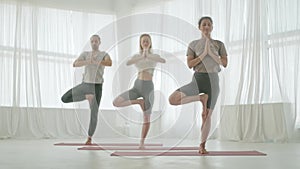 Three Young Women and Man in Yoga Class Doing Balance Exercise and Stretching Sports Yoga. Group Exercising and