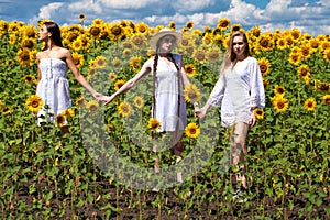 Three young women in white dress posing against the blue sky in sunflowers field