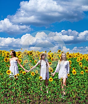 Three young women in white dress posing against the blue sky in sunflowers field