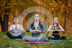 Three young yoga practitioners doing yoga exercises in park. Women meditate outdoor infront of beautiful autumn nature