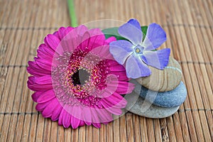 Three Zen stones on bamboo reed with pink and purple flower