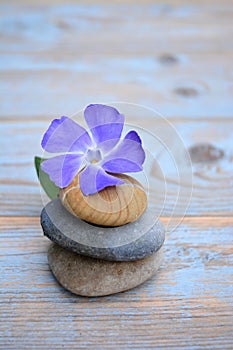Three zen stones on old wood with purple flower