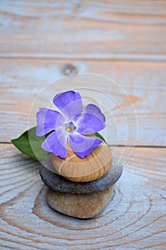 Three Zen stones on used wood with purple flower