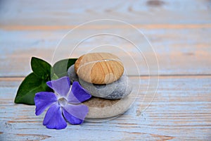 Three Zen stones on used wood with purple flowers