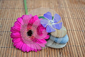 Three zenstones with flower on bamboo reed background