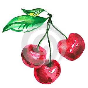 Threesome red cherry illustration.