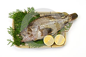 Threestripe rockfish