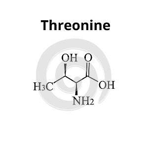 Threonine is an amino acid. Chemical molecular formula of threonine amino acid. Vector illustration on isolated