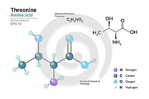 Threonine. Thr C4H9NO3 Amino Acid. Structural Chemical Formula and Molecule 3d Model. Atoms with Color Coding. Vector