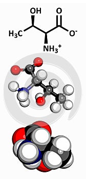 Threonine (Thr, T) amino acid, molecular model