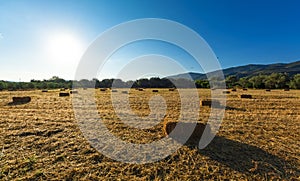 Threshed field in the Peloponnese