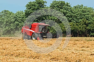 Thresher harvesting wheat