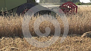 Thresher machine with reel and cutter bar is cutting oats on farm field. Panorama. 4K