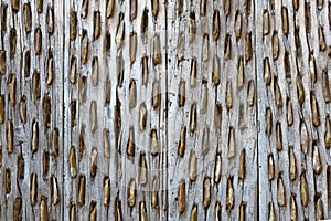 Threshing board for wheat of aged wood and stones texture vintage pattern