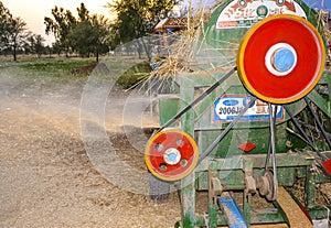 Threshing of wheat in a village