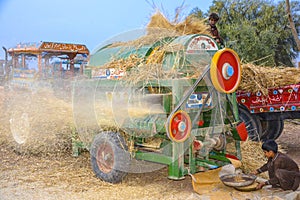 Threshing of wheat in a village