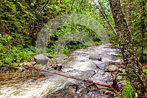 Thresholds and waterfall of mountain river