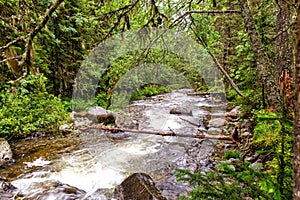 Thresholds and waterfall of mountain river
