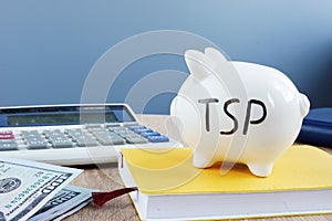 Thrift savings plan TSP written on a piggy bank.