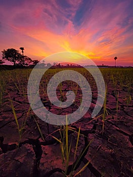 Thristy landÃ°Å¸ÅÂ§