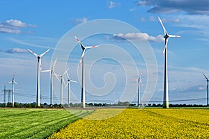 Thriving rapeseed field with wind turbines and power lines