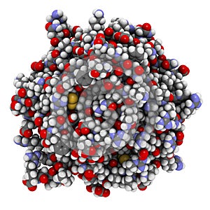 Thrombin blood-clotting enzyme. 3D illustration. photo