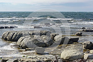 Thrombolites -- bun shaped mounds built by micro-organisms