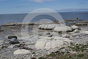 Thrombolites, Flower`s Cove, Newfoundland, Canada photo
