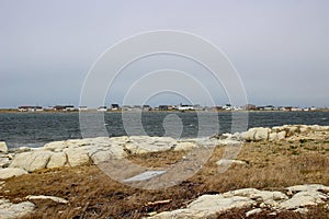 Thrombolites of Flower`s Cove western Newfoundland, Canada. Fossilized Cambrian mounds formed by Cyanobacteria