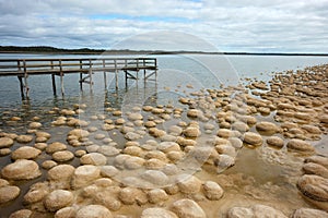 Thrombolites of Lake Clifton