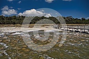 Thrombolites or stromatolites in warm, shallow water.