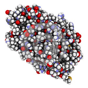 Thrombopoietin (THPO) hormone. Regulates production of blood platelets