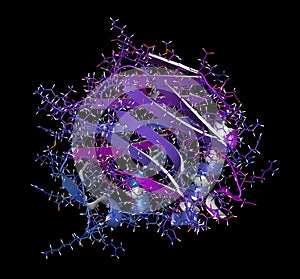 Thrombospondin-1 protein (N-terminal domain photo