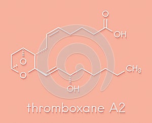 Thromboxane A2 TXA2 molecule. Skeletal formula.