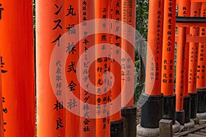 Throusand Torii,  Fushima Inari shrine photo