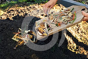 Throwing food leftovers in garden compost pile. recycling organic kitchen waste photo