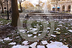 Throwing shredded papers during ticket tape parade