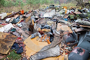 Thrown garbage in the forest