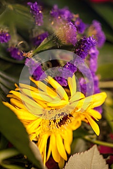 Thrown out wilted flowers