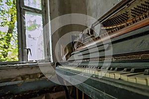 thrown a piano in an abandoned apartment