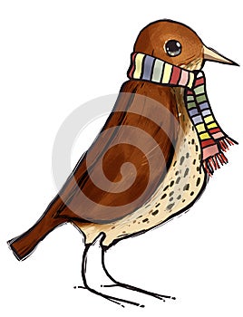 Thrush and scarf