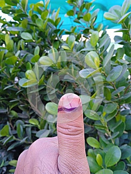 Thumb impression being shown after voting