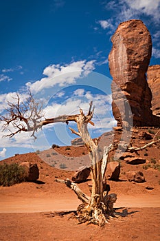 The Thumb, Monument Valley