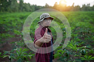 Thumb up from young farmer grower cassava